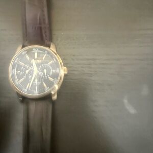 Citizen Gold and Brown Watch
